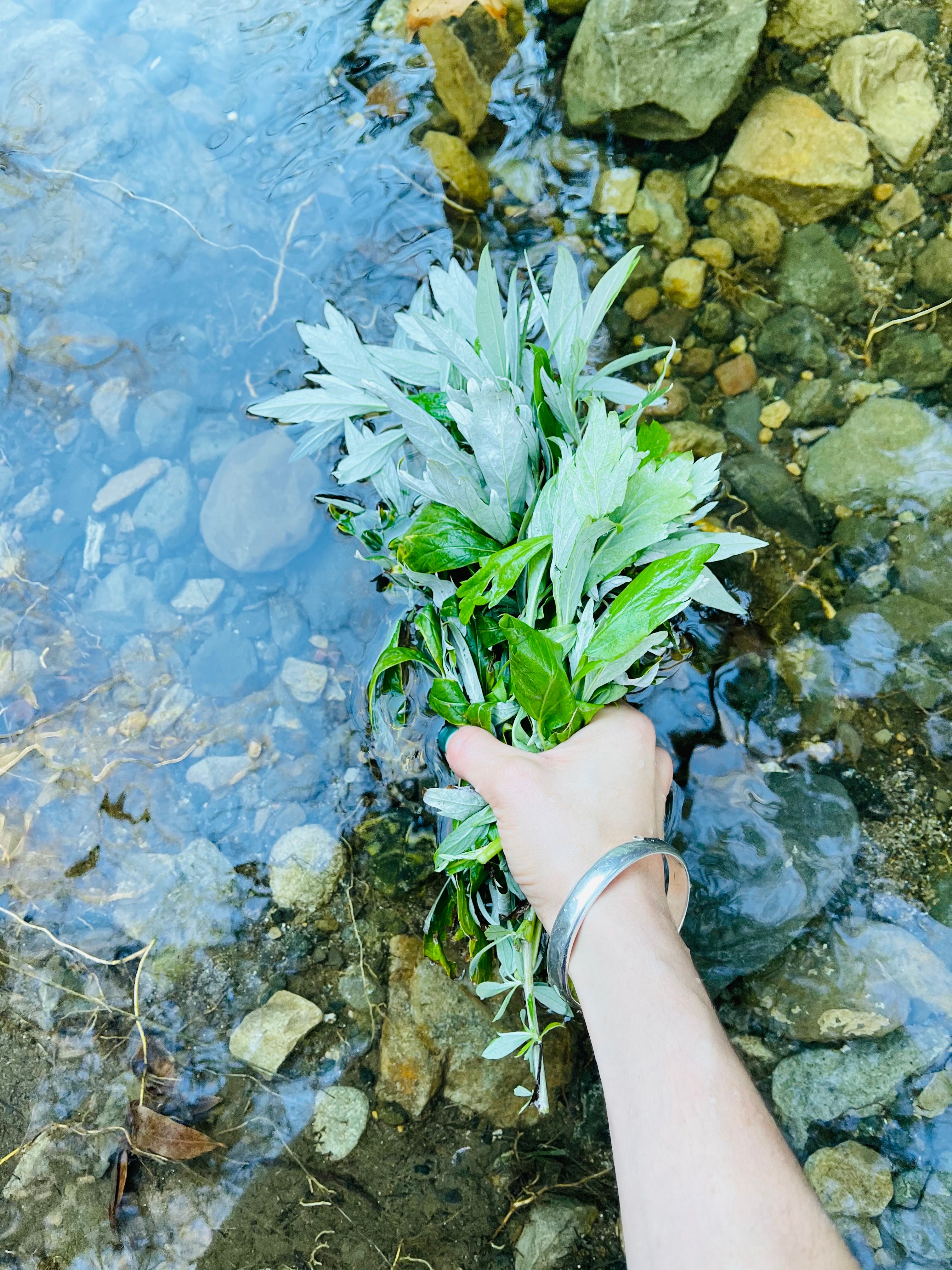 ⋒ lavender & mugwort oil ⋒ - earthen yourself